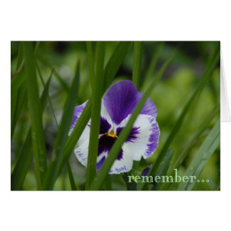 bloem waar je bent geplant...