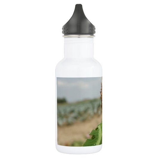 bloem waterfles  (Links)