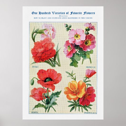 Bloem Waterverf 3 Poster (Voorkant)