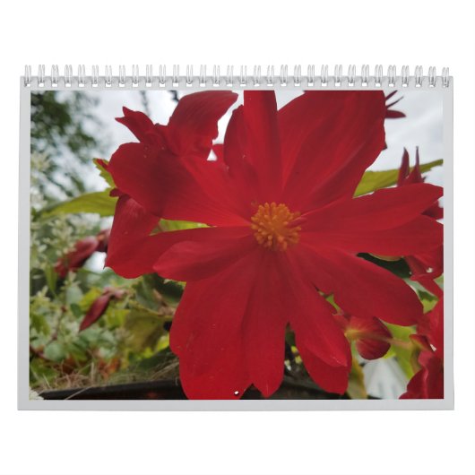 Bloem Zijn Het 2026 Agenda Kalender (Hoes)