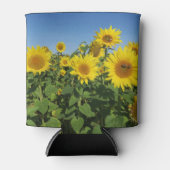 bloem, zon, plant, natuur, zomer, bloem, blikjeskoeler (Voorkant)