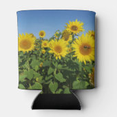 bloem, zon, plant, natuur, zomer, bloem, blikjeskoeler (Achterkant)