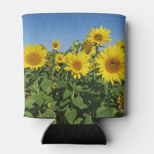 bloem, zon, plant, natuur, zomer, bloem, blikjeskoeler (Achterkant)