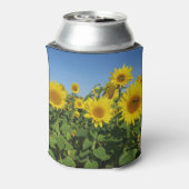 bloem, zon, plant, natuur, zomer, bloem, blikjeskoeler (Blikje Achterkant)