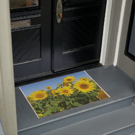 bloem, zon, plant, natuur, zomer, bloem, deurmat