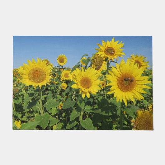 bloem, zon, plant, natuur, zomer, bloem, deurmat (Voorkant)