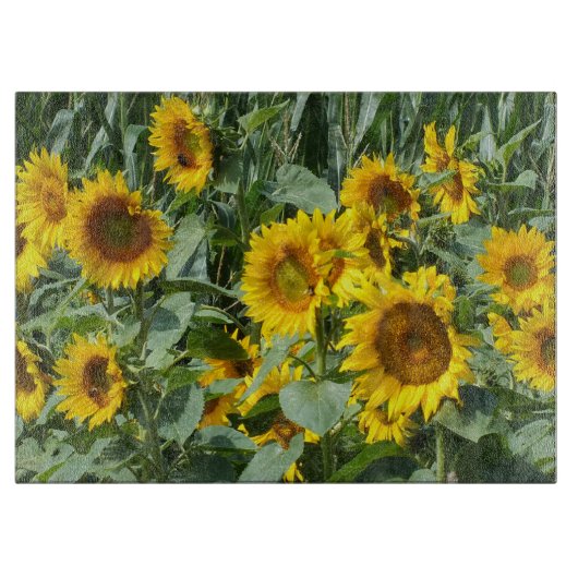 bloem, zon, plant, natuur, zomer, bloem, snijplank (Voorkant)