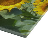 bloem, zon, plant, natuur, zomer, bloem, snijplank (Hoek)