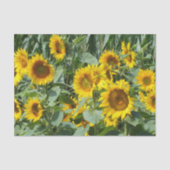 bloem, zon, plant, natuur, zomer, bloem, tissuepapier (Voorkant)