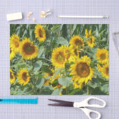 bloem, zon, plant, natuur, zomer, bloem, tissuepapier (Craft)