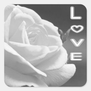 Bloem Zwart en Witte Roos Bloem Liefde Vierkante Sticker