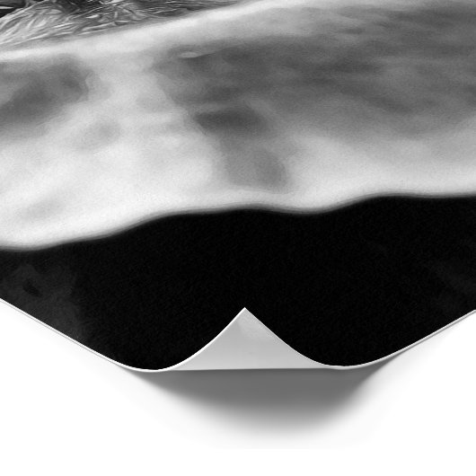 Bloem Zwart-wit Fotografische Art Print (Hoek)