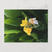 Bloembezorging Briefkaart (Voorkant)