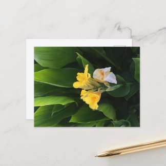 Bloembezorging Briefkaart