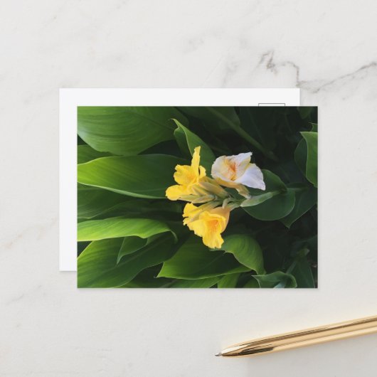 Bloembezorging Briefkaart (Voorkant / Achterkant in situ)