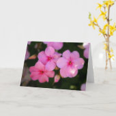 Bloemblaadjes in Roze Kaart (Gele Bloem)