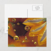 Bloemblaadjes op Mylar reflecterend oppervlak met  Briefkaart (Voorkant / Achterkant)