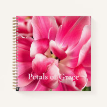Bloemblaadjes van Genade | Roze Tulpen Dromen Bloe