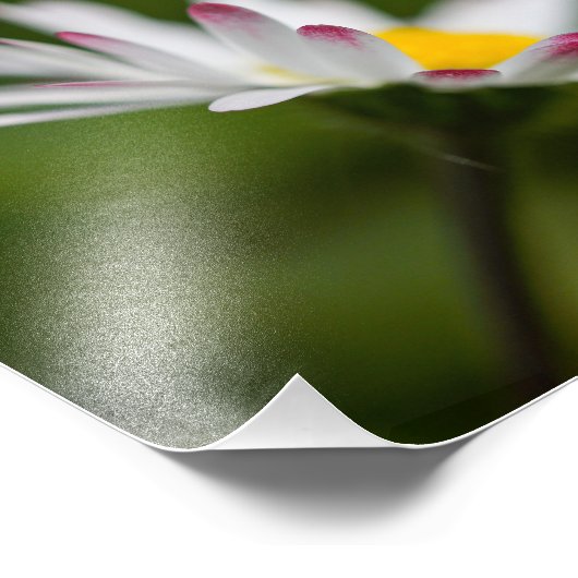 bloembladen foto afdruk (Hoek)