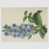 Bloemblauw Bloemen Ephemera Decoupage Tis Tissuepapier (Voorkant)