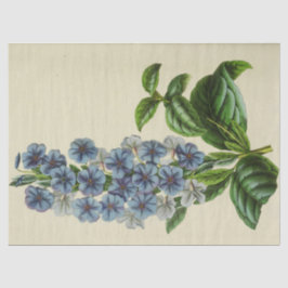 Bloemblauw Bloemen Ephemera Decoupage Tis Tissuepapier