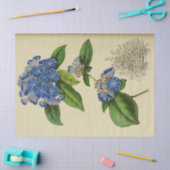 Bloemblauw Bloemen Ephemera Decoupage Tis Tissuepapier (Craft)