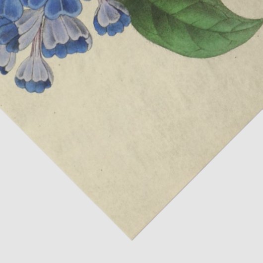  Bloemblauw Bloemen Ephemera Decoupage Tis Tissuepapier (Detail)