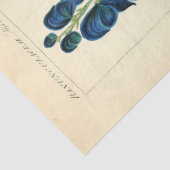  Bloemblauw Bloemen Ephemera Decoupage Tis Tissuepapier (Detail)