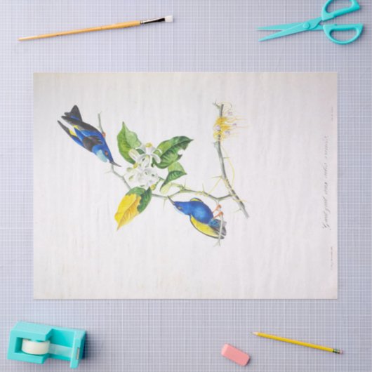  Bloemblauw Vogel Ephemera Decoupage Script Tissuepapier (Craft)