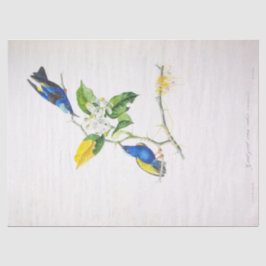 Bloemblauw Vogel Ephemera Decoupage Script Tissuepapier