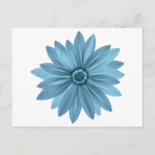 Bloemblauwe Daisy Flower Daisies Briefkaart (Voorkant)