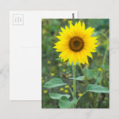 Bloembloem Briefkaart (Voorkant / Achterkant)