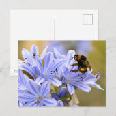 Bloembloem Briefkaart (Voorkant / Achterkant)