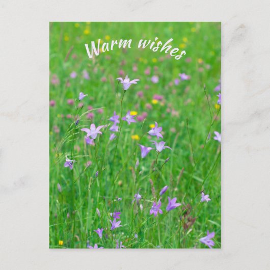 Bloembloem op een groene weide briefkaart (Voorkant)