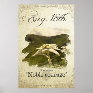 Bloembloemen op 18 augustus "Edelweiss" Poster