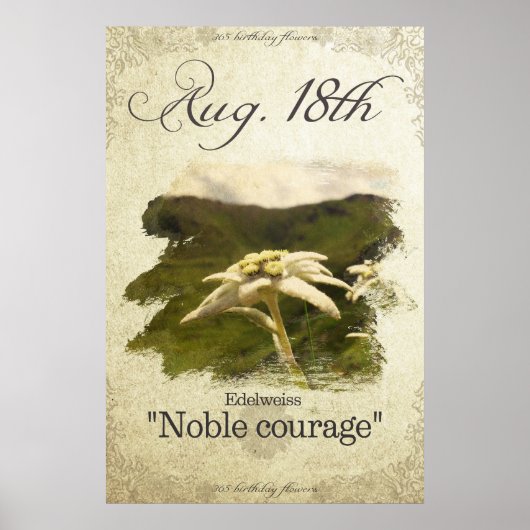 Bloembloemen op 18 augustus "Edelweiss" Poster (Voorkant)