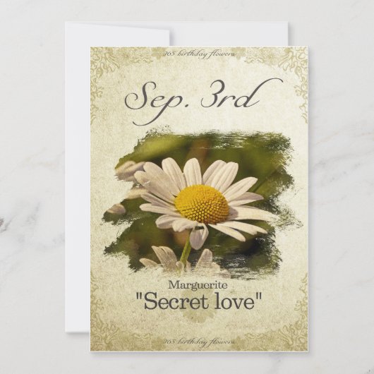Bloembloemen op 3 september "Marguerite" Kaart (Voorkant)