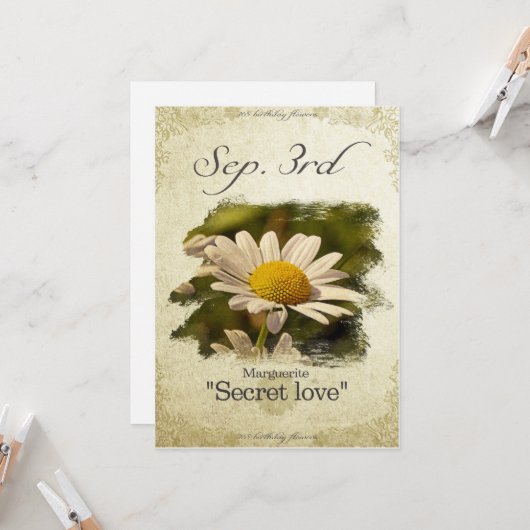 Bloembloemen op 3 september "Marguerite" Kaart (Voorkant / Achterkant in situ)