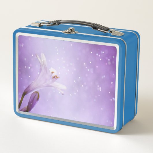 Bloembloesem Blossom Botany Petals Flora Natuur (Voorkant)