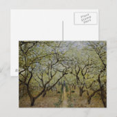 Bloembomen Briefkaart (Voorkant / Achterkant)