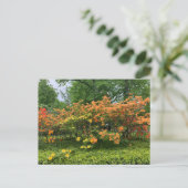 Bloembomen van het Briefkaart Halifax Nova Scotia (Staand voorkant)