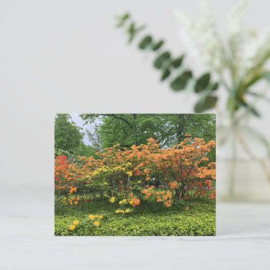 Bloembomen van het Briefkaart Halifax Nova Scotia (Staand voorkant)