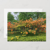 Bloembomen van het Briefkaart Halifax Nova Scotia (Voorkant / Achterkant)