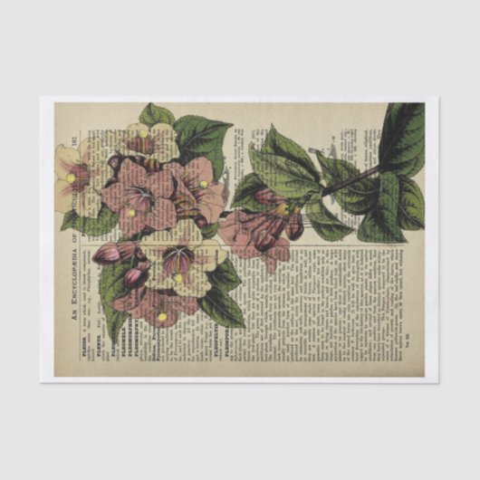  bloemdecoratiepapier tissuepapier (Voorkant)