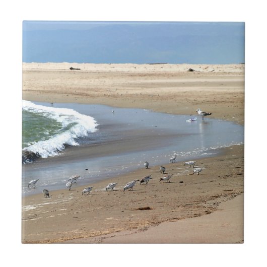 Bloemdieren Tegeltje (Voorkant)