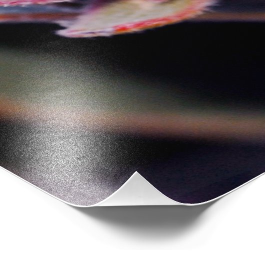 Bloemdoos Foto Afdruk (Hoek)