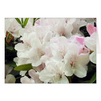 Bloemen