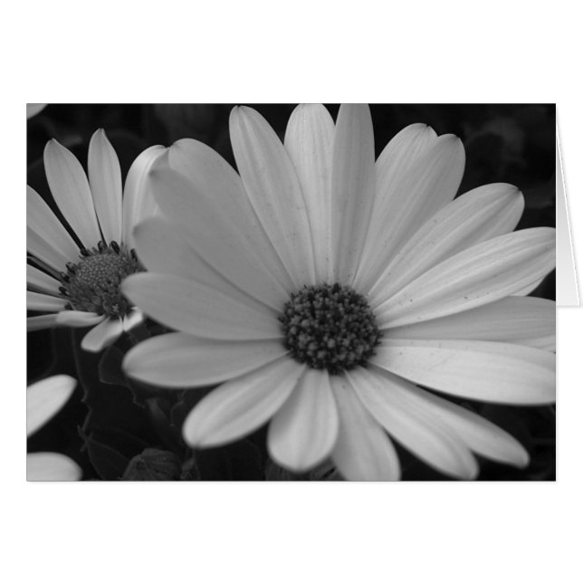 Bloemen #1 (Voorkant Horizontaal)