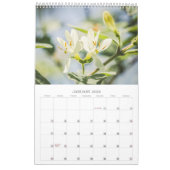 BLOEMEN 12 maanden mooie bloemen Kalender (Jan 2026)