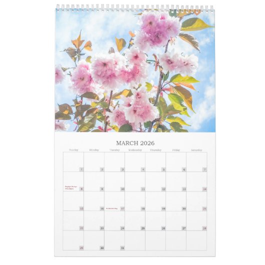 BLOEMEN 12 maanden mooie bloemen Kalender (Mar 2026)